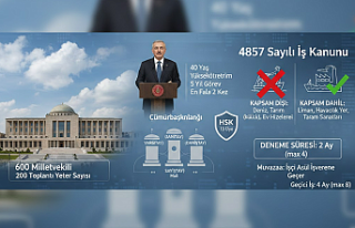 TBMM İşleyişi, Cumhurbaşkanlığı Sistemi ve...