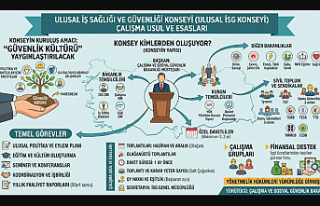 Ulusal İş Sağlığı ve Güvenliği Konseyi Yönetmeliği:...